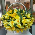 Praca Pacjenta - bukiet żonkili z bibuły